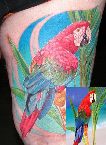大腿逼真的彩色金刚鹦鹉和植物纹身图案