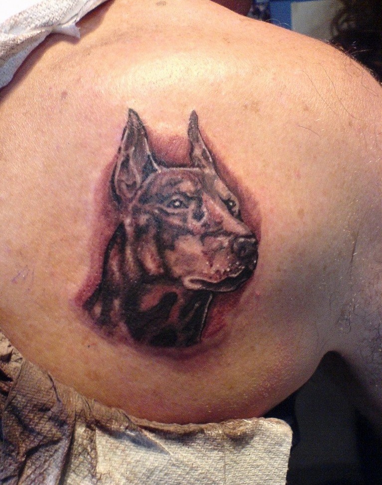 背部杜宾犬的头像纹身图案