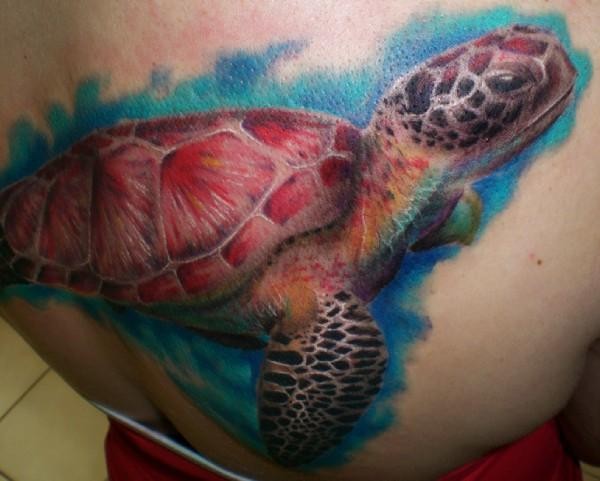 美丽的写实水彩乌龟纹身图案