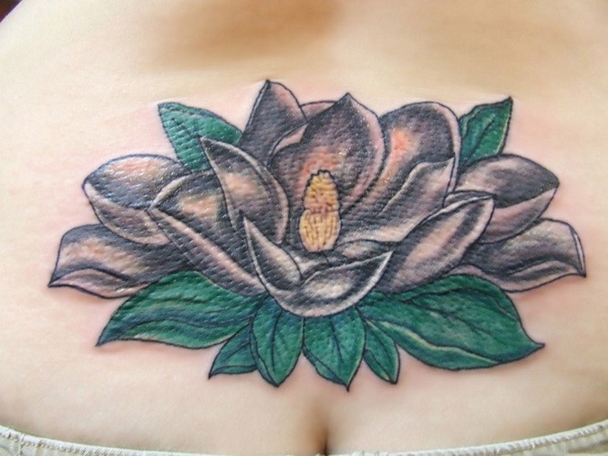 腰部美丽的白莲花纹身图案