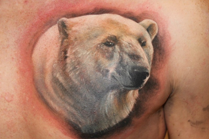 背部逼真美丽的北极熊纹身图案