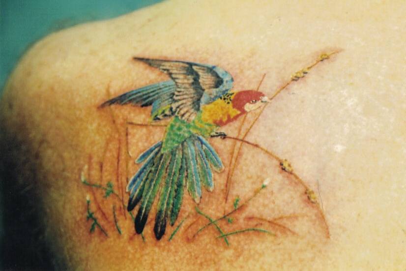 背部多彩的可爱小鸟纹身图案