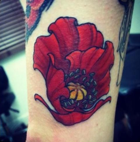 手臂上的血色罂粟花纹身图案