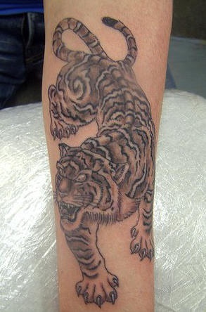 黑色的亚洲下山虎纹身图案