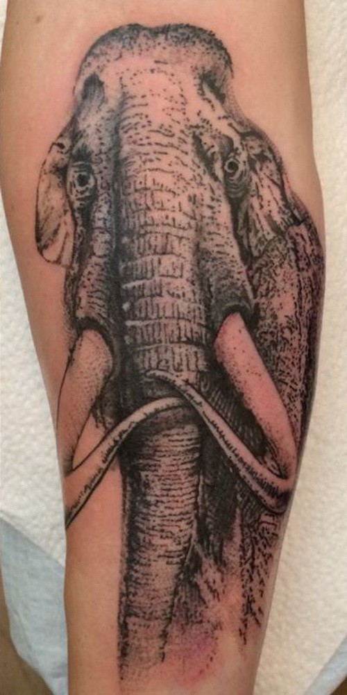 手臂巨大的黑白猛犸象纹身图案