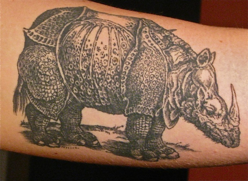 手臂写实的盔甲犀牛纹身图案