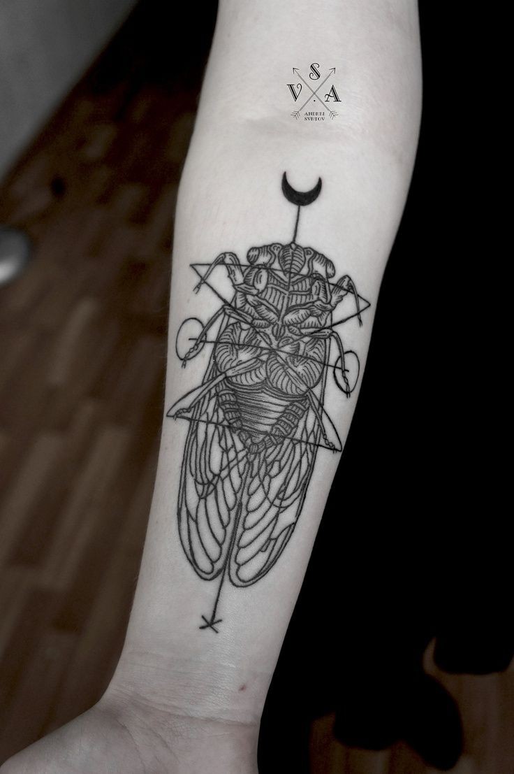 手臂黑色线条几何昆虫和月亮纹身图案