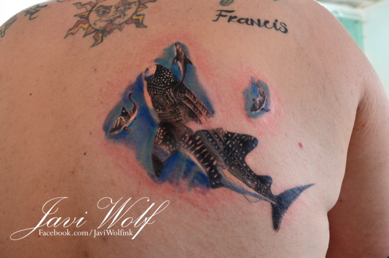 写实风格背部彩色的虎鲨鱼纹身图案