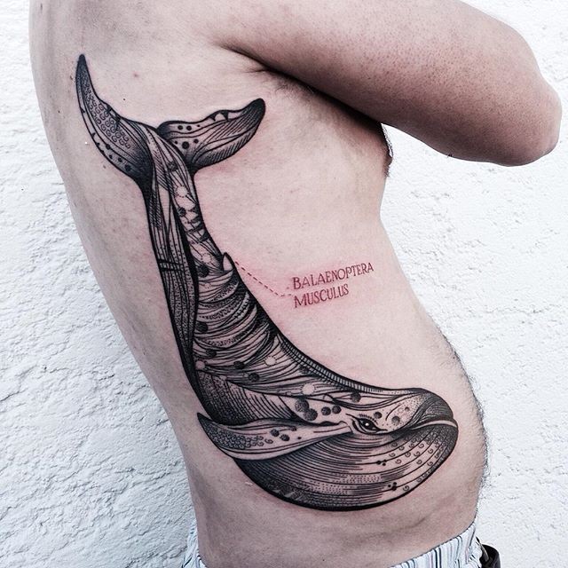 侧肋雕刻风格黑色线条大鲸鱼纹身图案