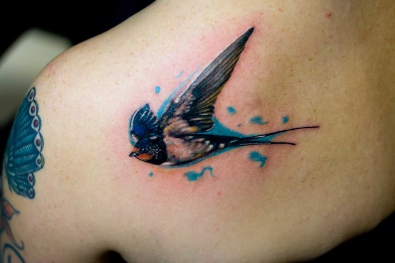 肩部彩色的燕子纹身图案