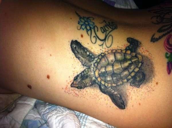 手臂精彩漂亮的海龟纹身图案