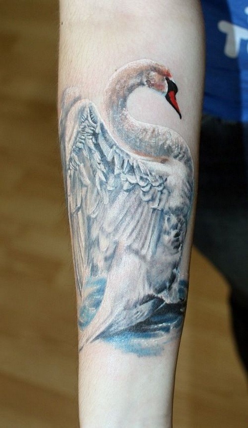 手臂逼真漂亮的白天鹅纹身图案