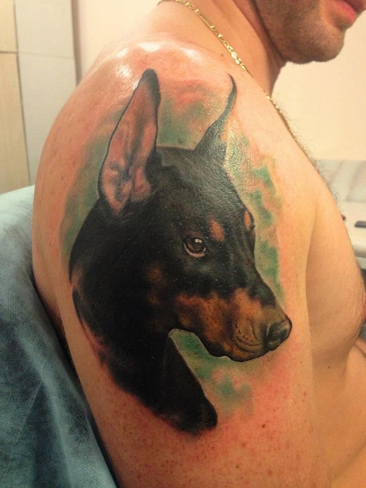 手臂严肃的五颜六色杜宾犬和绿色背景纹身图案