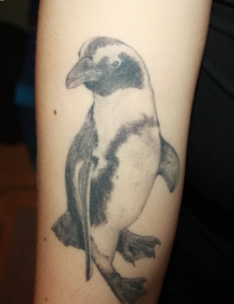 水墨画风格小企鹅纹身图案