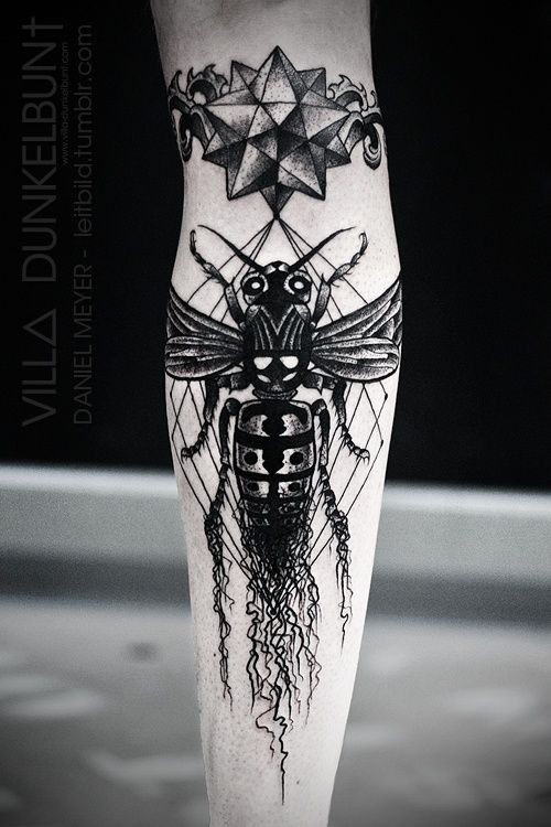 手臂精致的巨大黑白昆虫和星星纹身图案