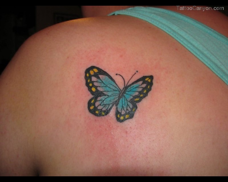 背部可爱的蓝色小蝶纹身图案