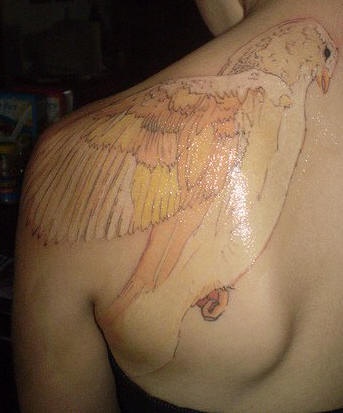 肩部白色很漂亮的鸟纹身图案