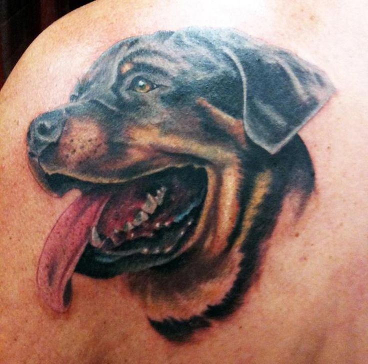 令人印象深刻的罗威纳犬背部纹身图案