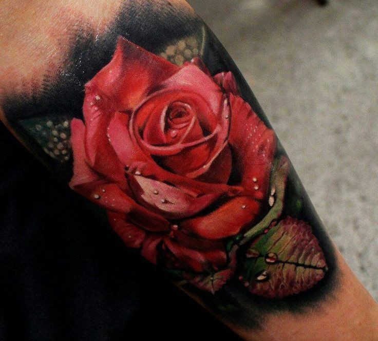 手臂美丽的超写实红玫瑰纹身图案