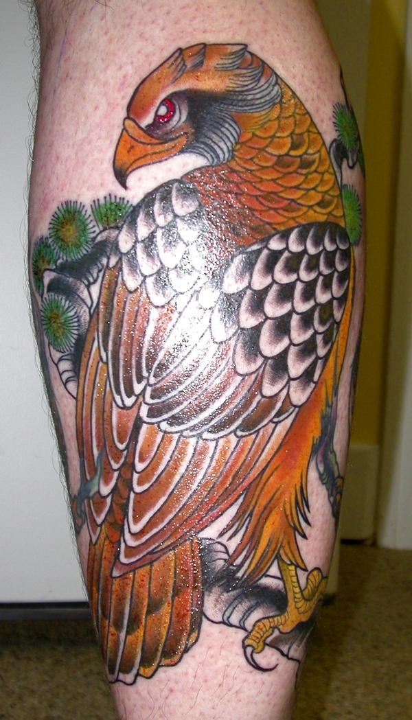 小腿彩色的鹰纹身图案