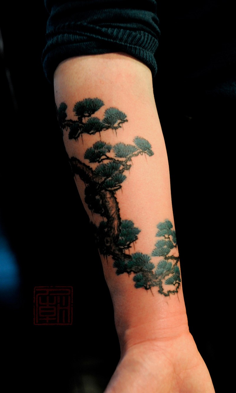 手臂亚洲风格的彩色有趣树纹身图案