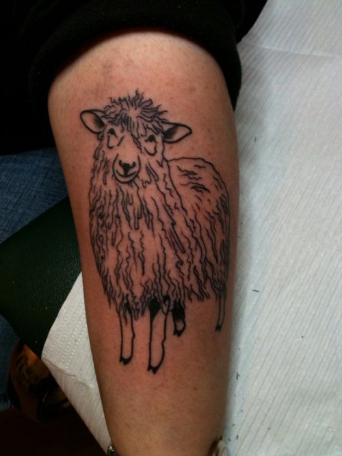 手臂可怕的黑色线条绵羊纹身图案