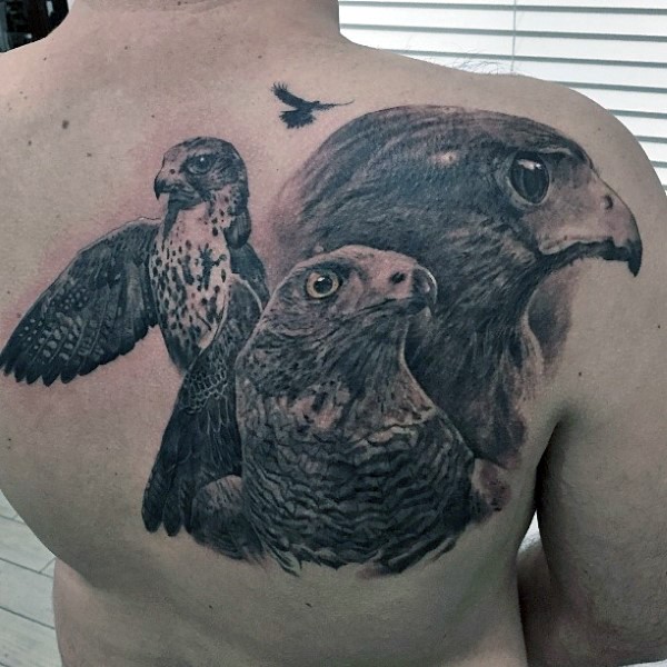 背部写实华丽的逼真各种鹰纹身图案