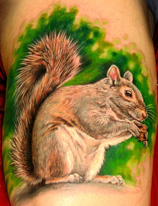 美丽的松鼠与坚果森林纹身图案