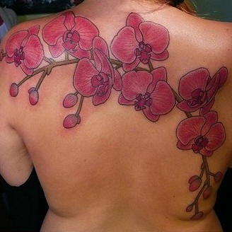 美丽的蝴蝶兰花背部纹身图案