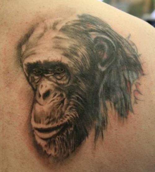 背部黑灰风格黑猩猩头部纹身图案