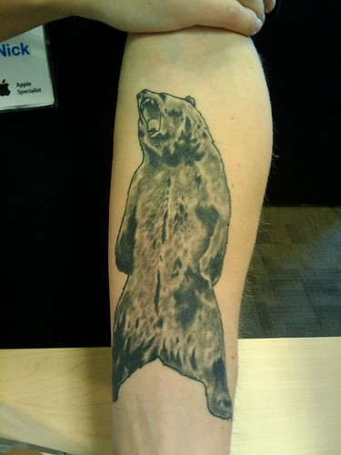 小臂灰色的熊个性纹身图案