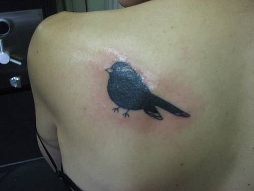 全黑的小鸟背部纹身图案
