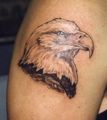 写实的黑灰鹰头纹身图案