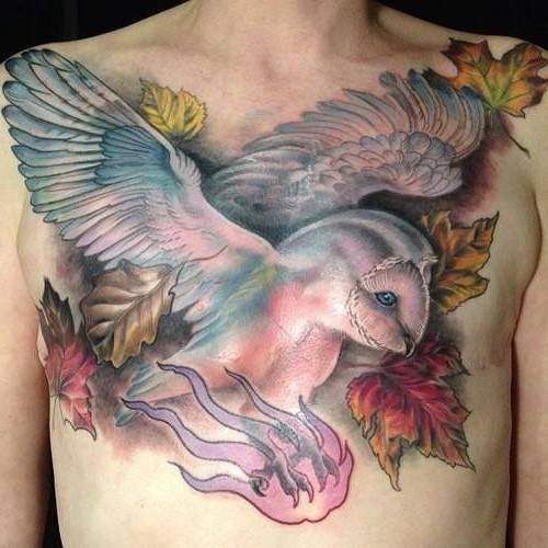 胸部可爱的七彩猫头鹰纹身图案