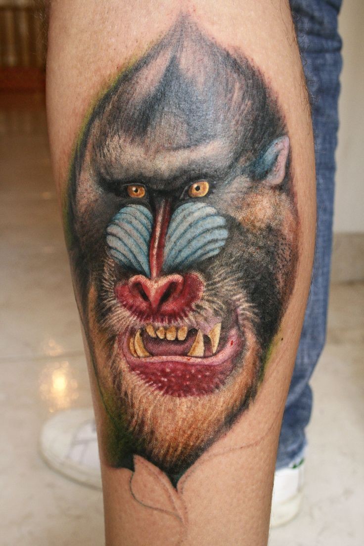 小腿可怕的彩色狒狒头纹身图案