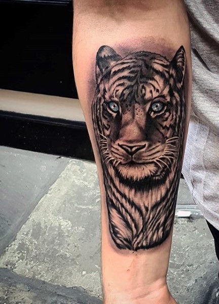 小臂新风格彩色好看的老虎纹身图案