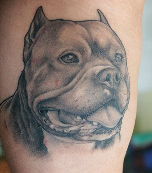 灰色的罗威纳犬头像纹身图案