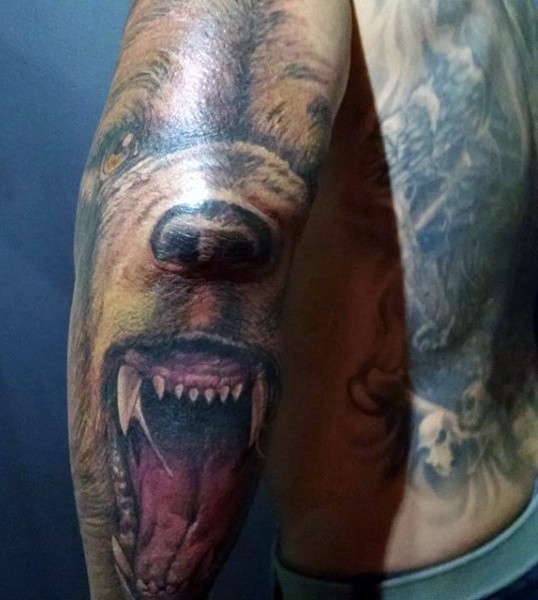 手臂惊人的彩色咆哮熊头纹身图案