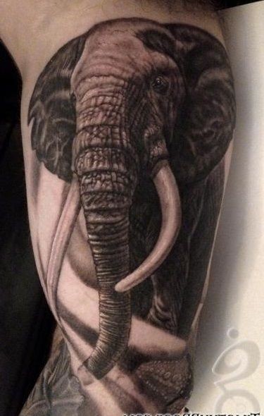 手臂非常逼真的黑白大象纹身图案