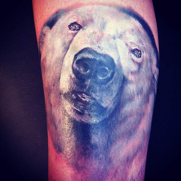 写实逼真的彩色北极熊头像纹身图案