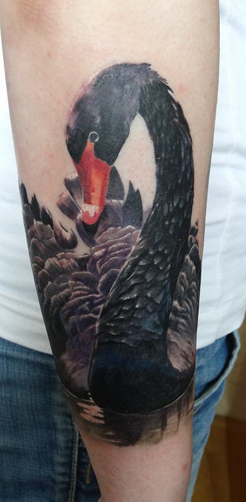 手臂上美丽的黑天鹅写实逼真纹身图案