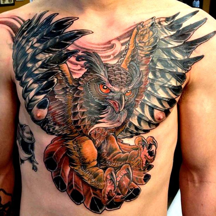 胸部伟大的猫头鹰彩色纹身图案