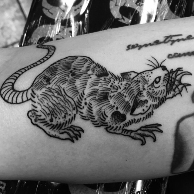 手臂巨大邪恶的黑白色啮老鼠纹身图案