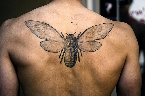 背部怪异的黑色昆虫纹身图案