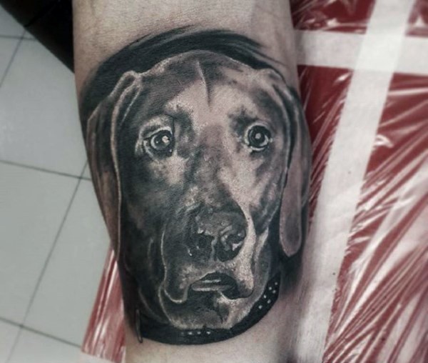 很棒的黑色逼真的狗头像手臂纹身图案