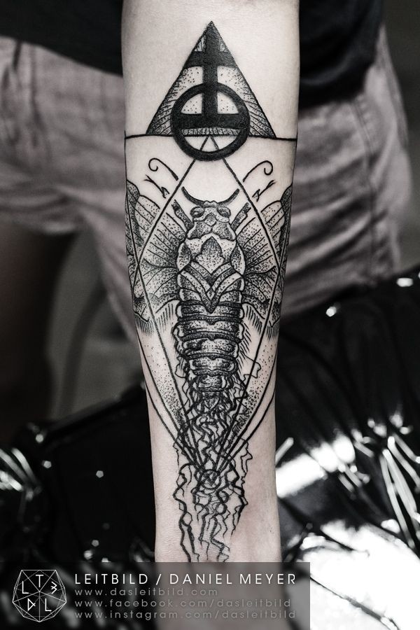 手臂黑色点刺的昆虫与符号纹身图案