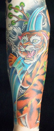 手臂彩色的老虎和瀑布纹身图案
