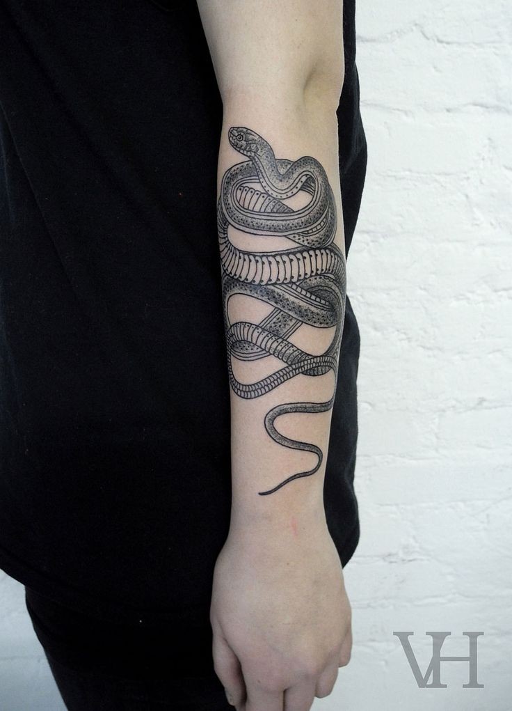 手臂小小的黑白蛇纹身图案