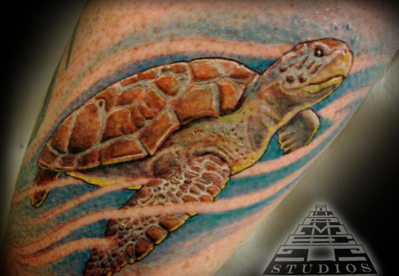 写实的水彩海龟纹身图案