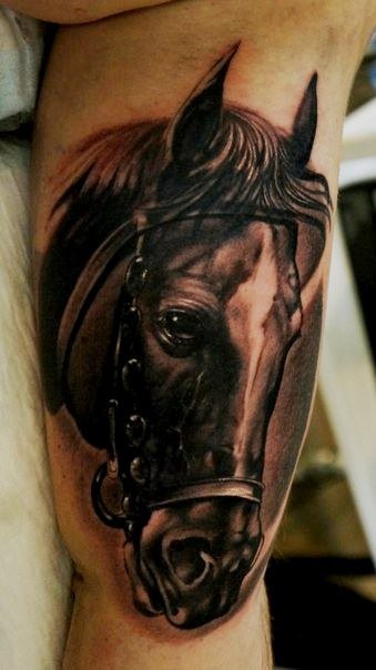 手臂上写实的马肖像纹身图案